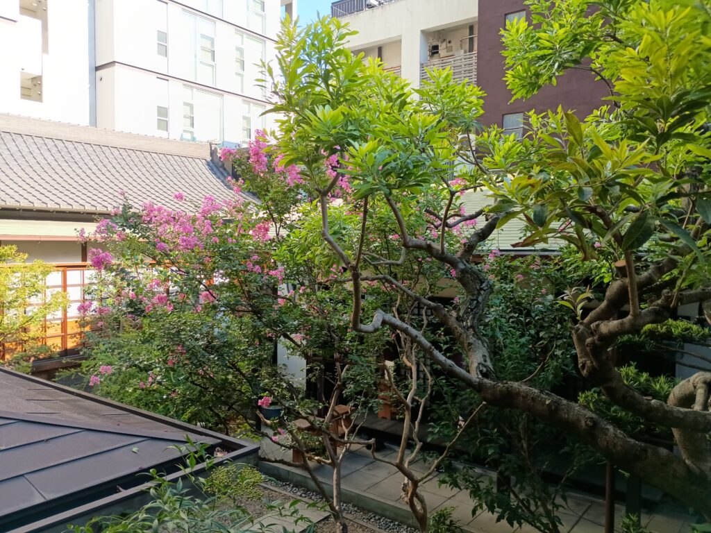 別棟側から見下ろす｜寺カフェ茶庭